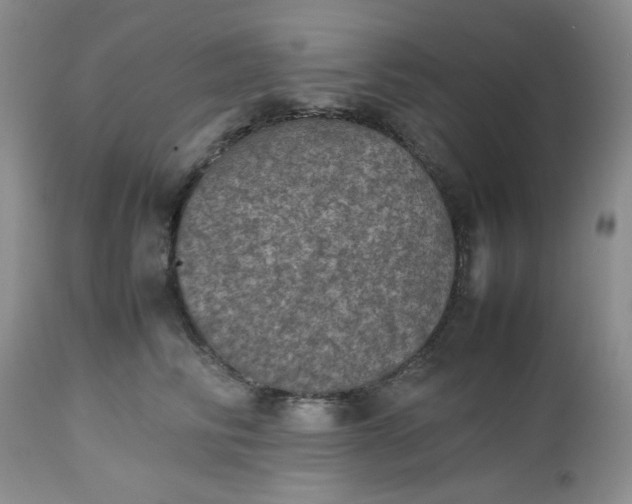 X0000112510710200908311333