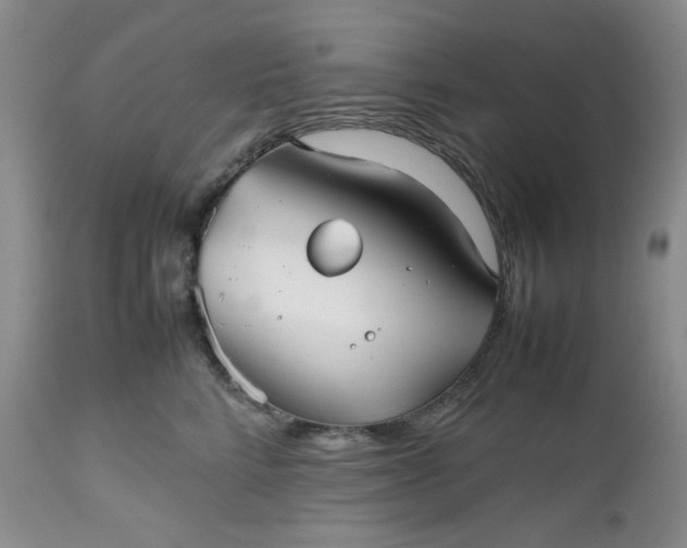 X0000112510712200908311333