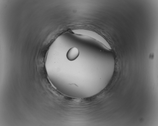 X0000112510713200908311333