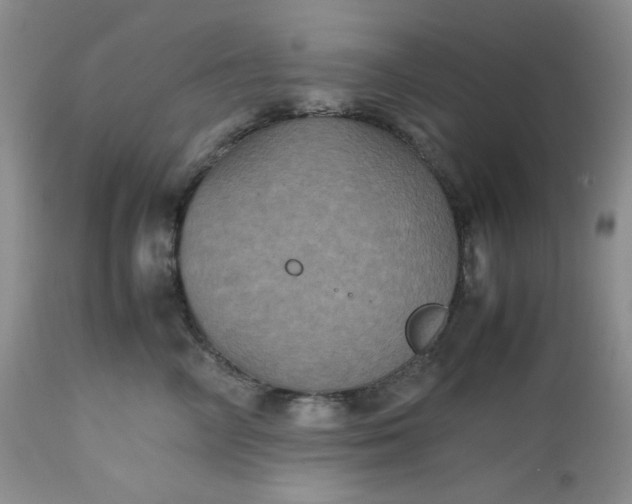 X0000112510714200908311333