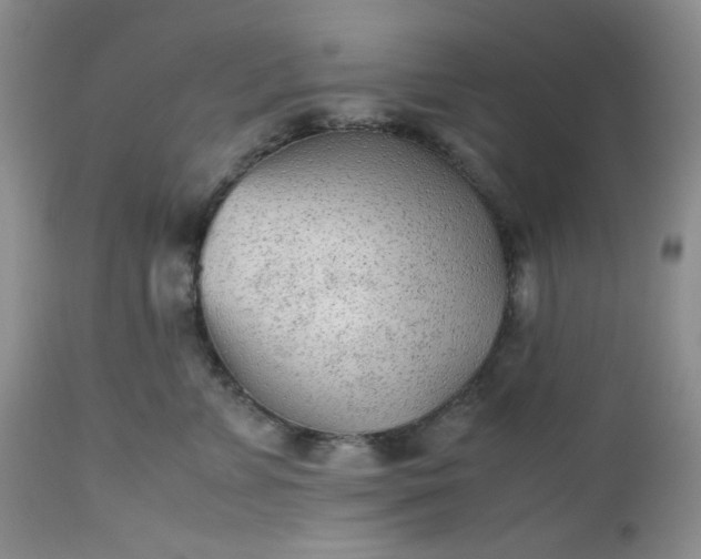 X0000112510715200908311333