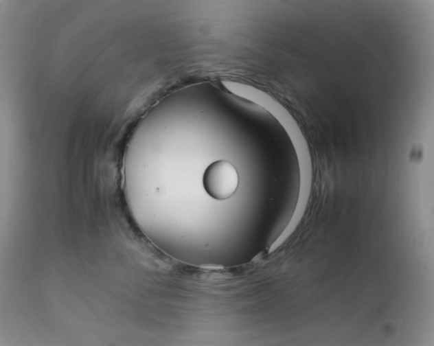 X0000112510716200908311333