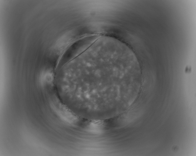 X0000112510720200908311332