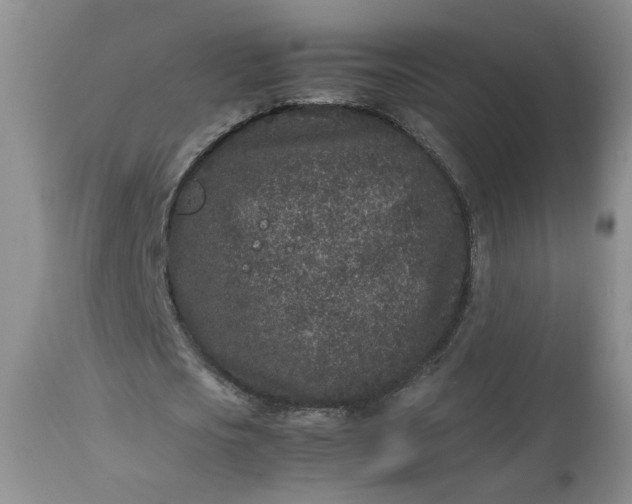 X0000112510721200908311332