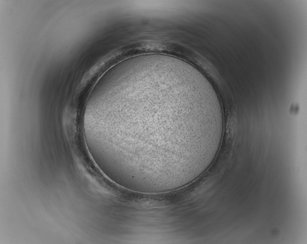 X0000112510722200908311332