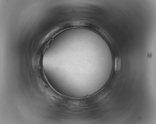 X0000112510723200908311332