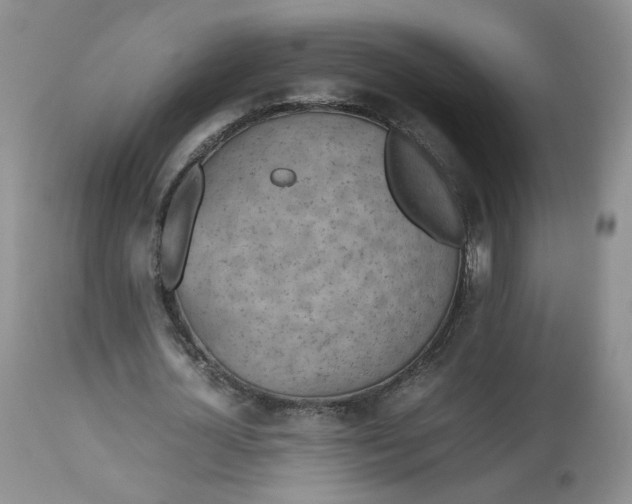 X0000112510724200908311332