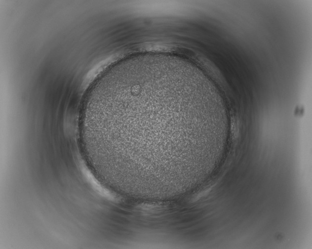 X0000112510725200908311332