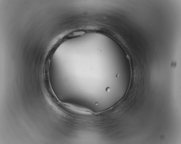 X0000112510726200908311332