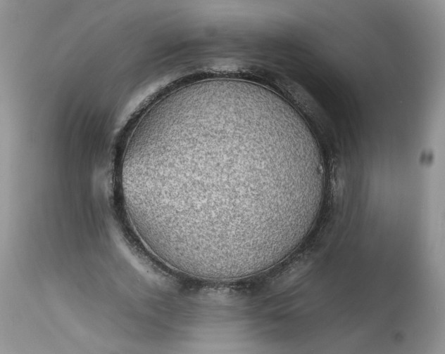 X0000112510728200908311332