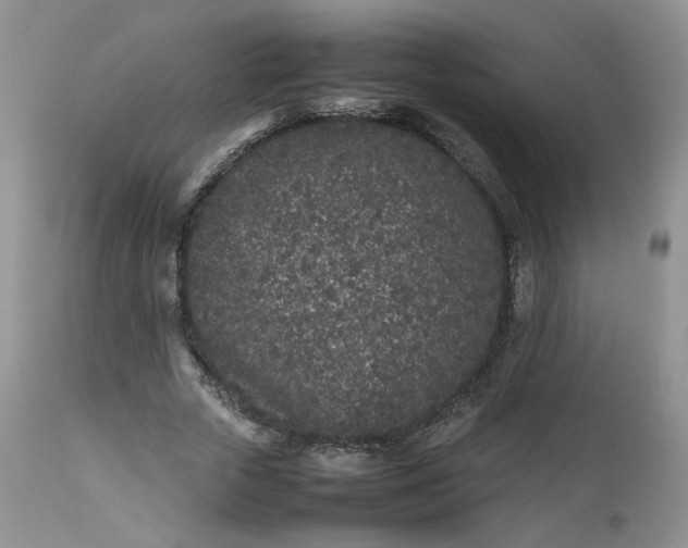 X0000112510729200908311332