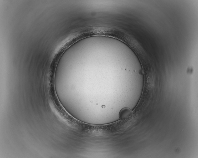 X0000112510730200908311332