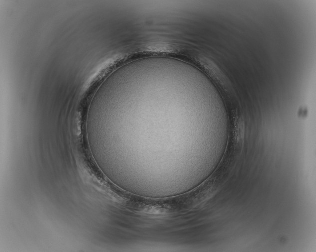 X0000112510731200908311332