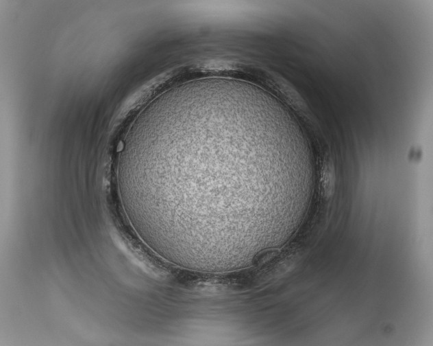 X0000112510732200908311332