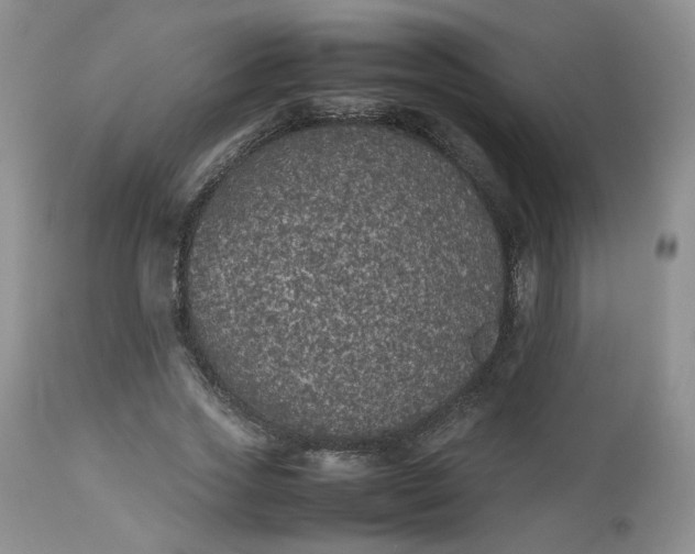 X0000112510733200908311332