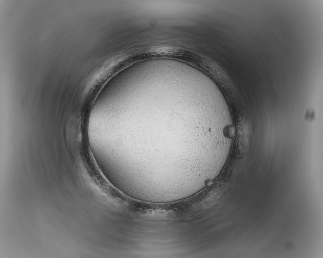 X0000112510734200908311332