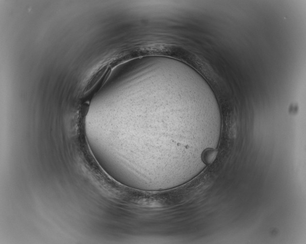 X0000112510735200908311332