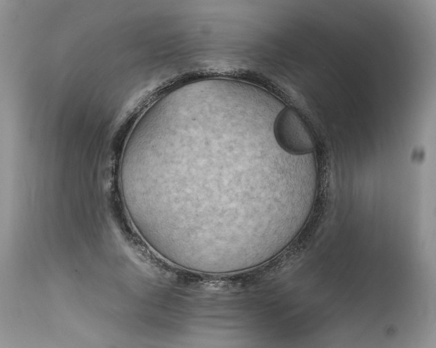 X0000112510736200908311332