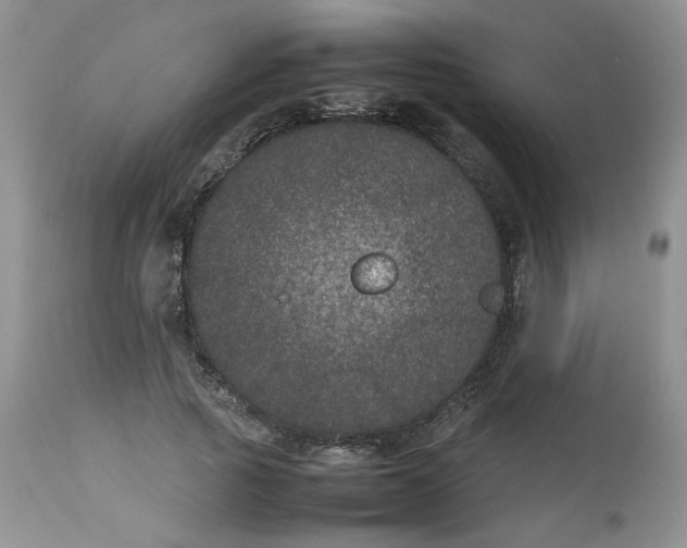 X0000112510737200908311332