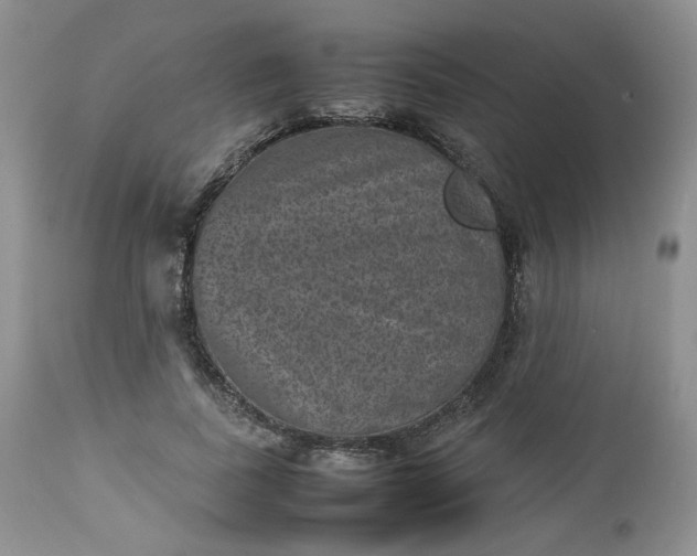 X0000112510739200908311332