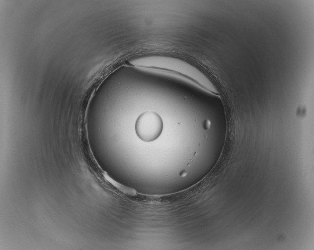 X0000112510740200908311332