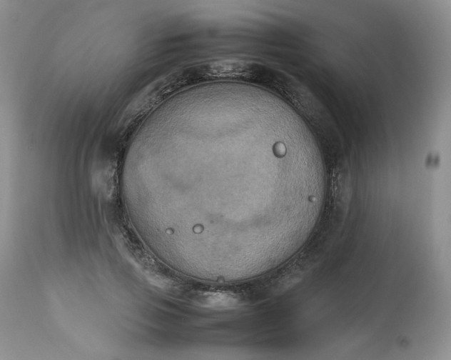 X0000112510741200908311332