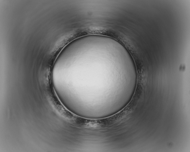 X0000112510742200908311332