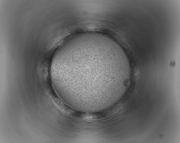 X0000112510746200908311332