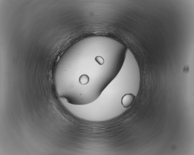 X0000112510748200908311332