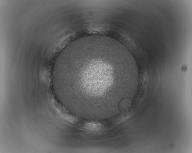 X0000112510749200908311332