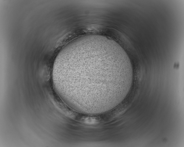 X0000112510751200908311332