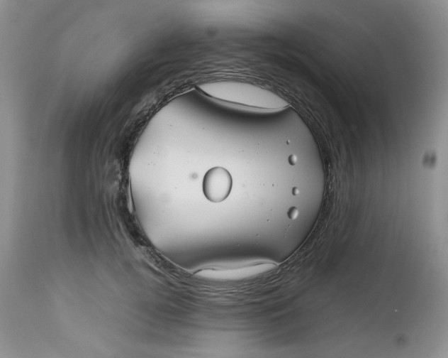 X0000112510752200908311332