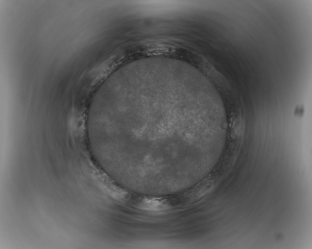 X0000112510753200908311332