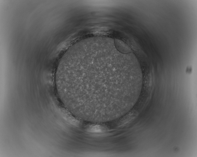 X0000112510755200908311332