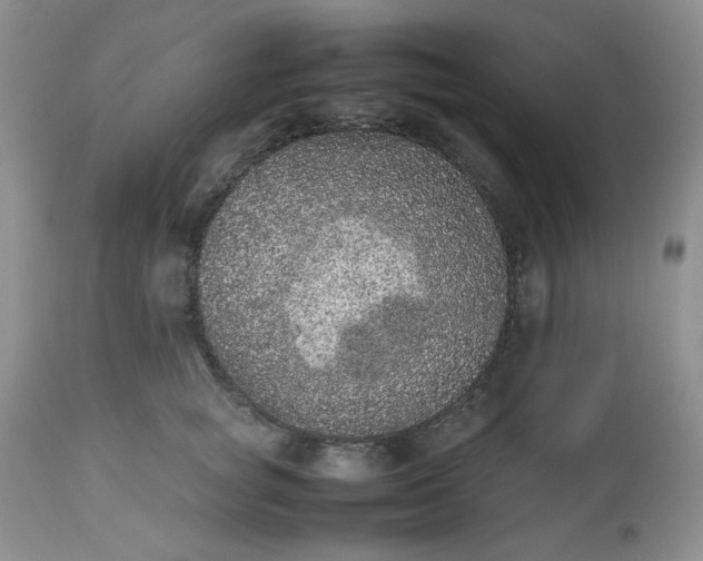 X0000112510757200908311332