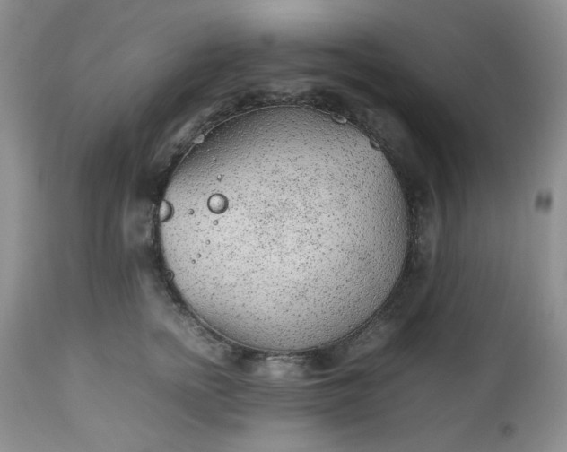 X0000112510758200908311332