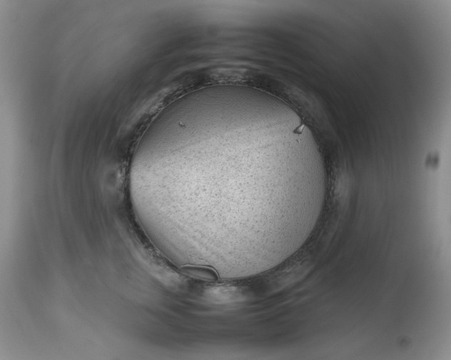 X0000112510759200908311332