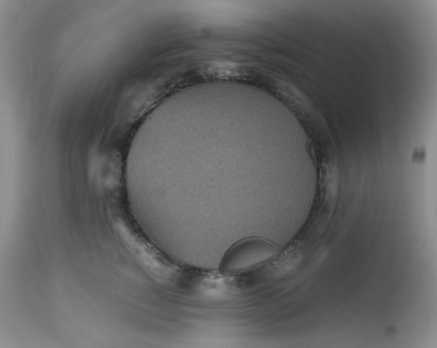 X0000112510760200908311332