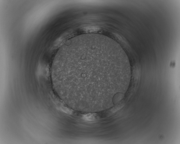 X0000112510761200908311332