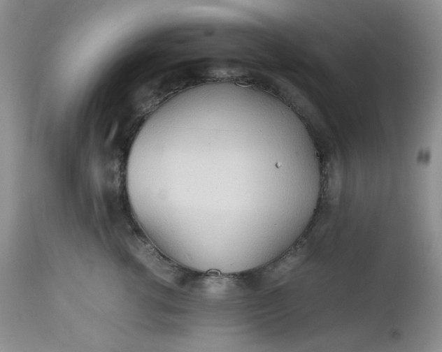 X0000112510762200908311332