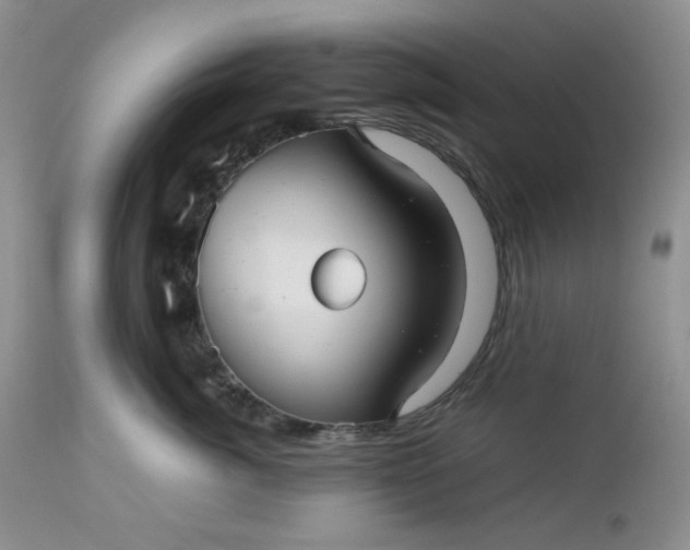 X0000112510764200908311332