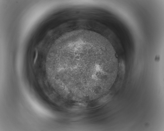 X0000112510765200908311332