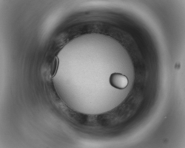 X0000112510766200908311332