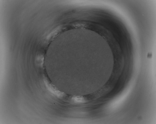 X0000112510767200908311332