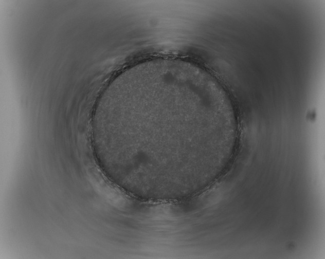 X0000112510769200908311332