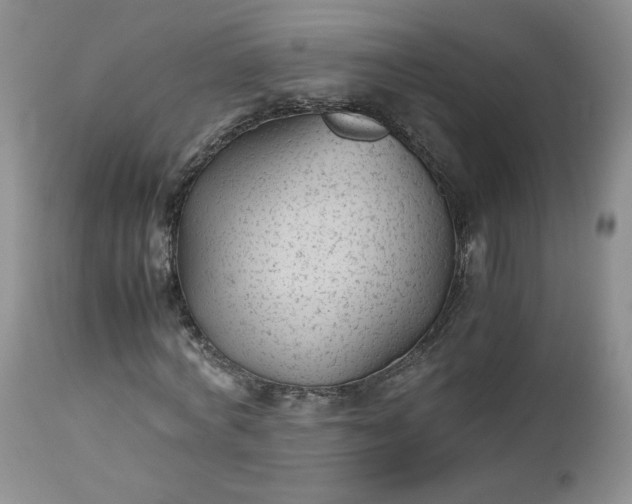 X0000112510772200908311332