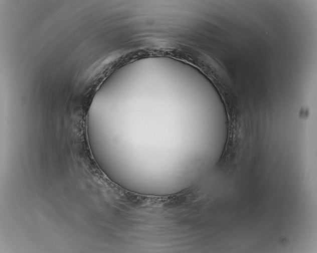 X0000112510773200908311332