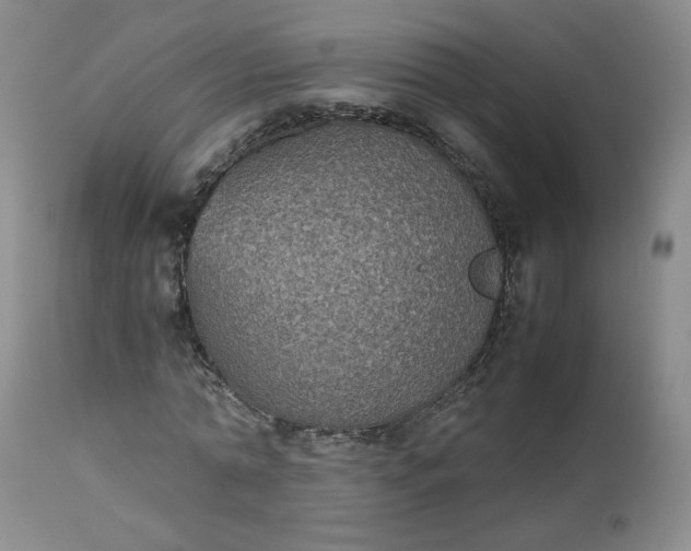 X0000112510774200908311332