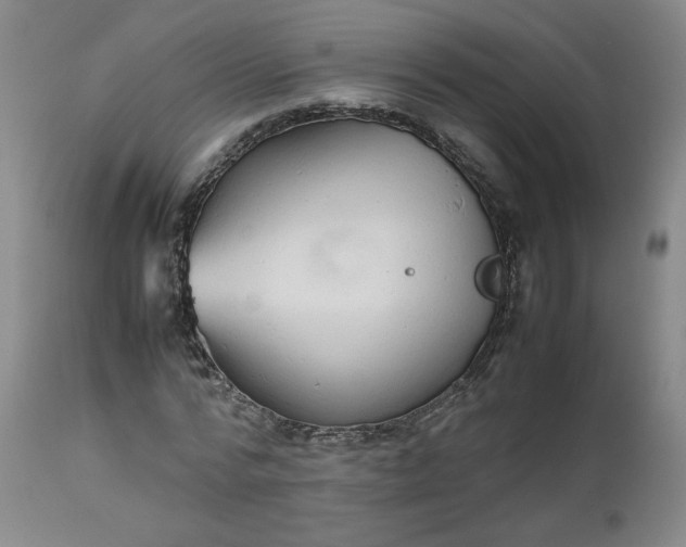 X0000112510776200908311332