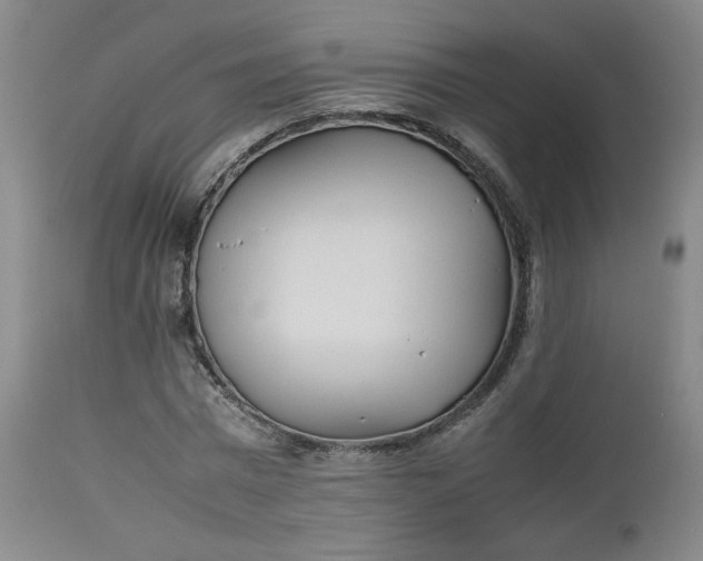 X0000112510777200908311332